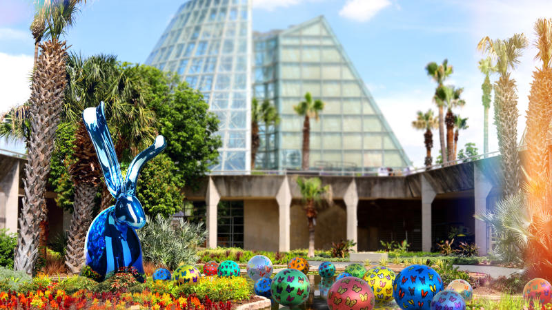 Rabbit and easter eggs in front of greenhouse