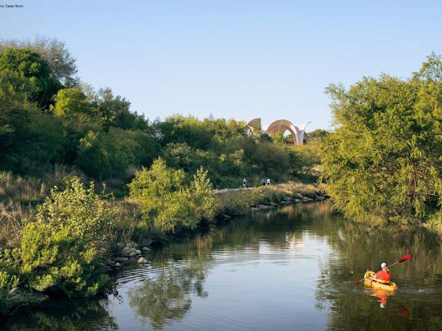 Winding river surrounded by trees